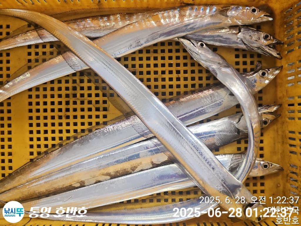 F2712060OB.jpg