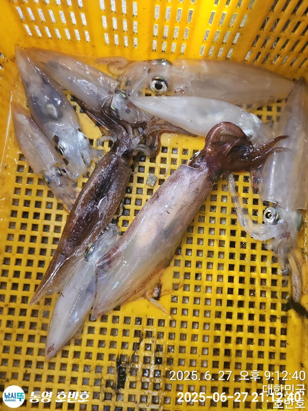 F2712062G8.jpg