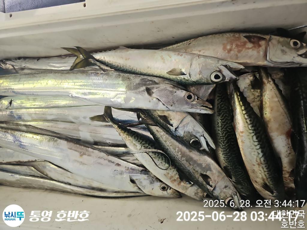 F2712074CX.jpg