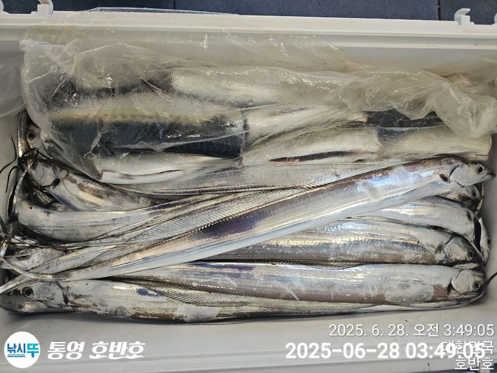 F2712080O6.jpg