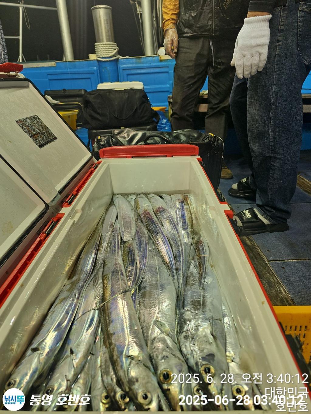 F2712084VK.jpg