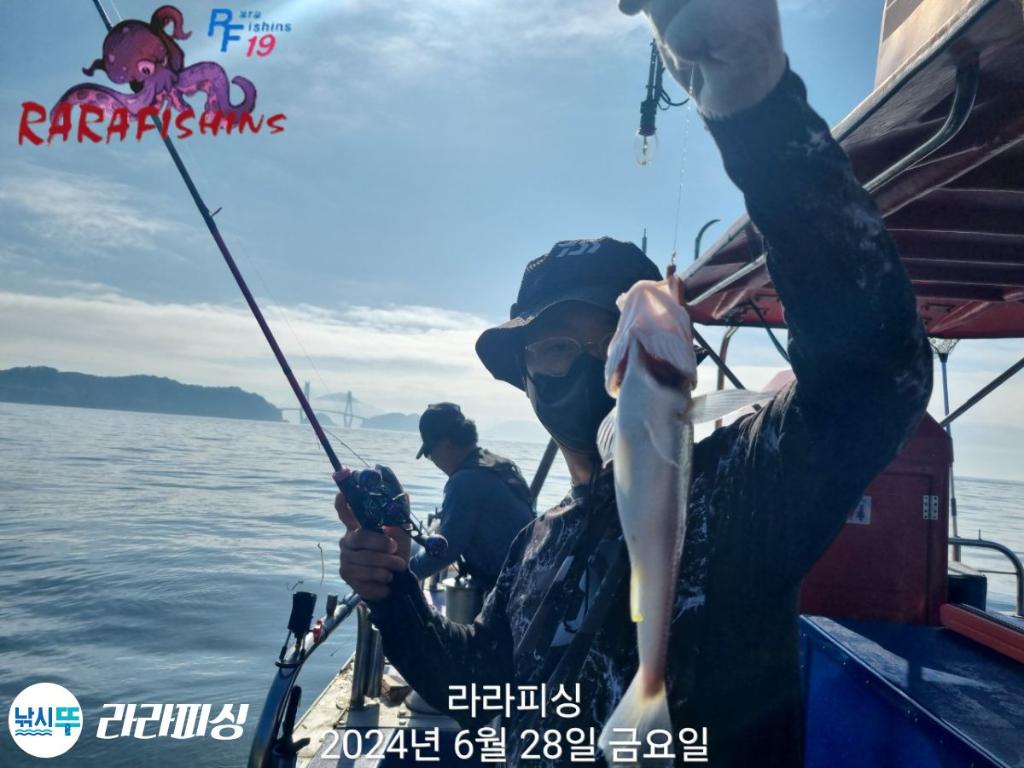 낚시뚜,백조기,속천항(진해),라라피싱,낚시뚜16