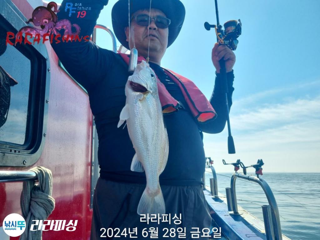낚시뚜,백조기,속천항(진해),라라피싱,낚시뚜13
