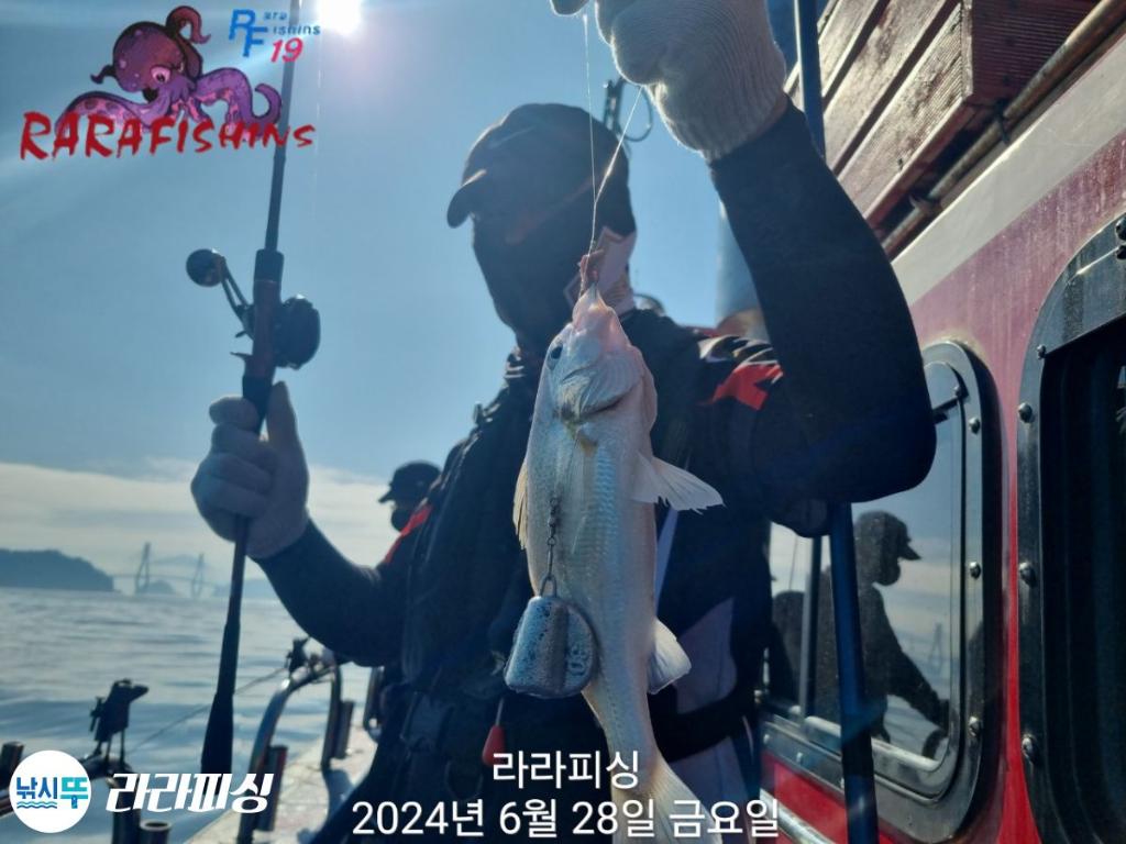 낚시뚜,백조기,속천항(진해),라라피싱,낚시뚜9