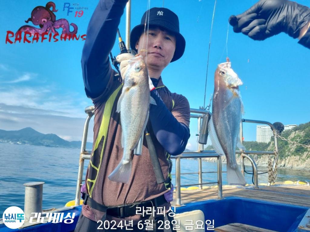 낚시뚜,백조기,속천항(진해),라라피싱,낚시뚜8