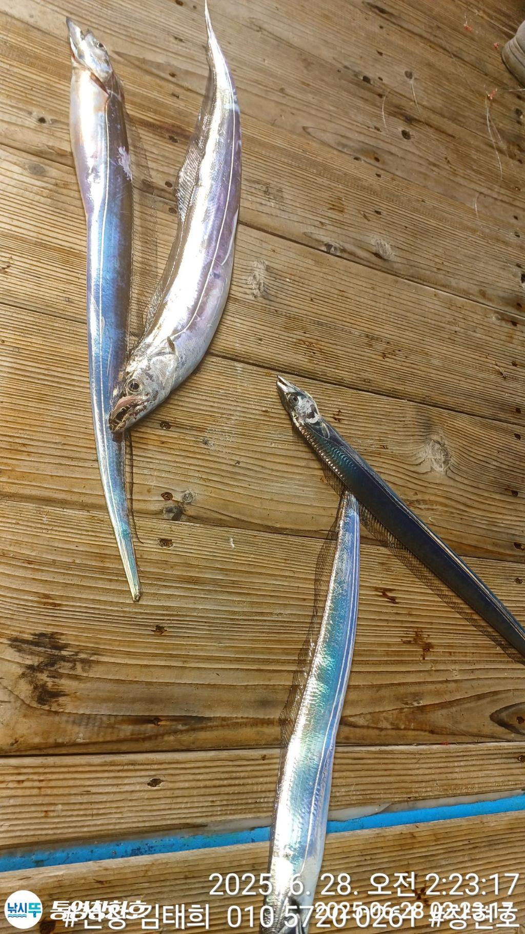 F2712304CD.jpg