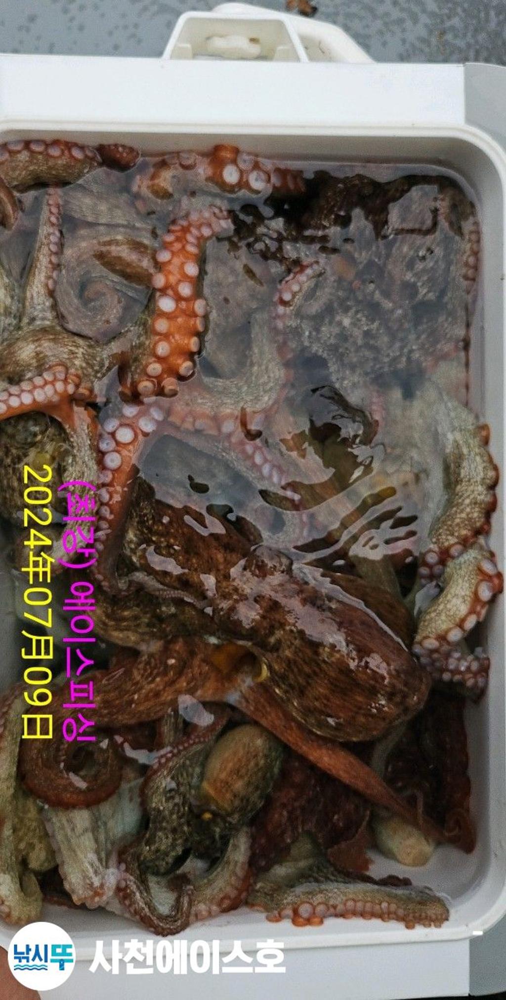 F27124212U.jpg