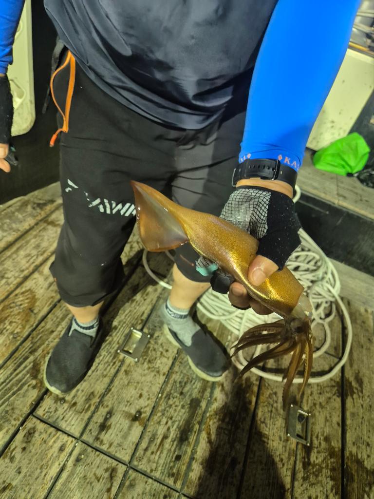 F2712442P8.jpg