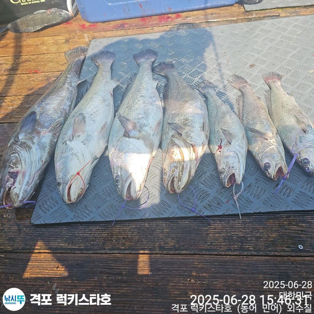 F2712477VK.jpg