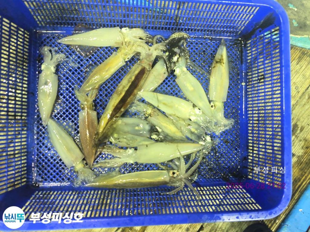 F27126051O.jpg