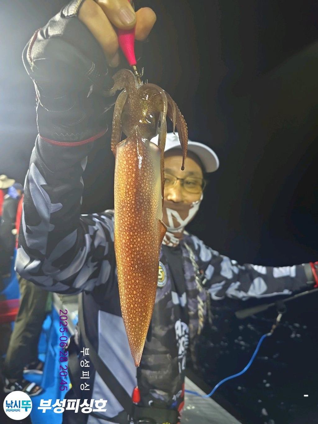 F2712607X3.jpg