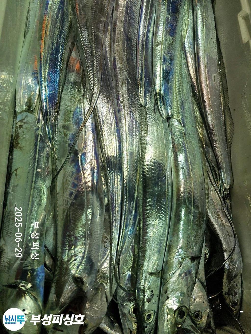 F27128629X.jpg