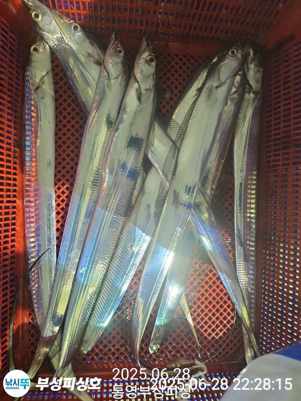 F2712872G4.jpg