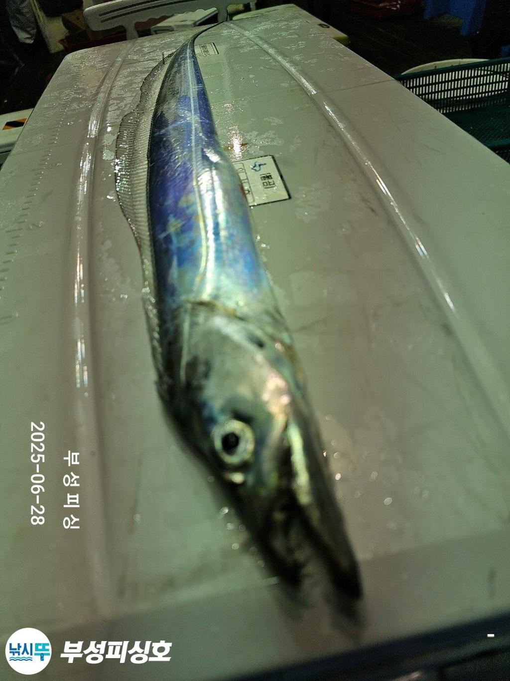 F2712874YG.jpg