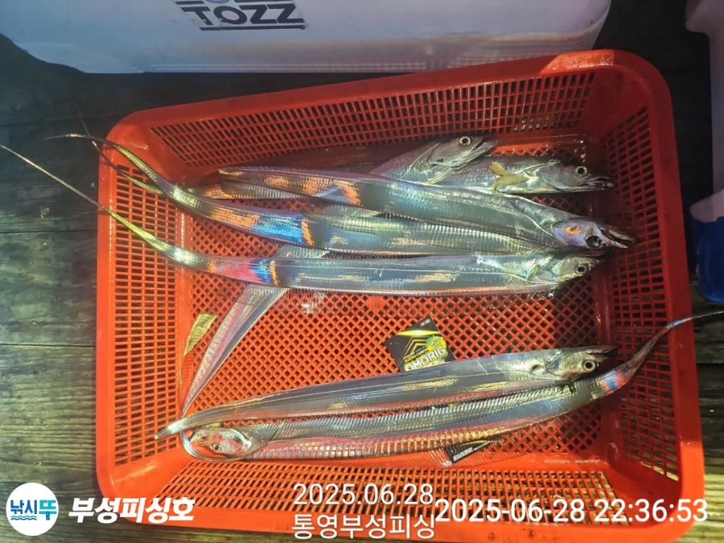F2712875YC.jpg