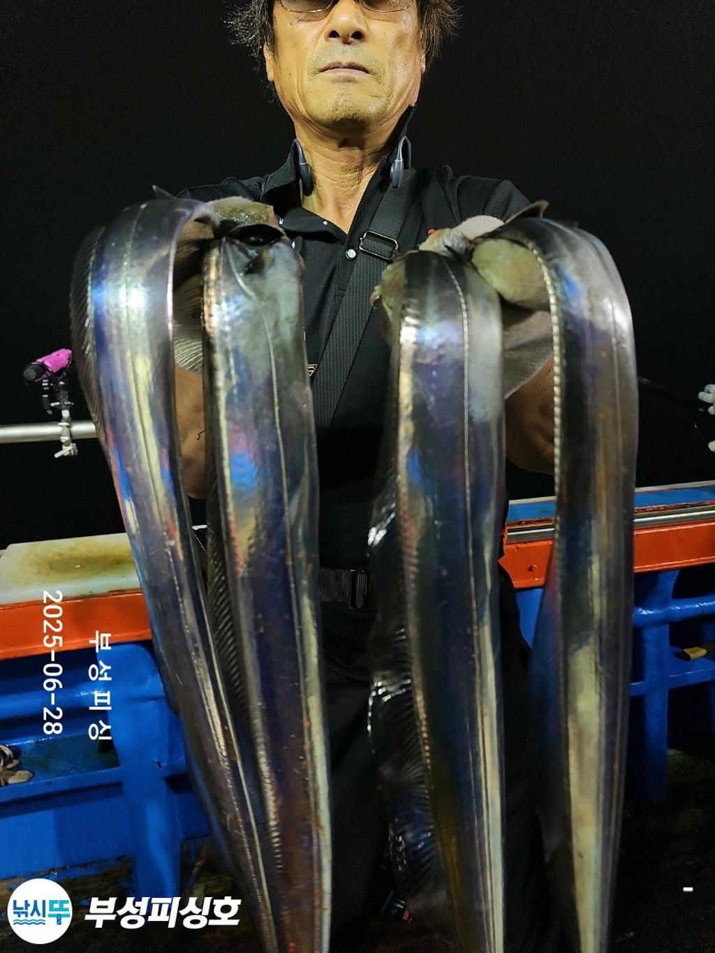F27128853X.jpg