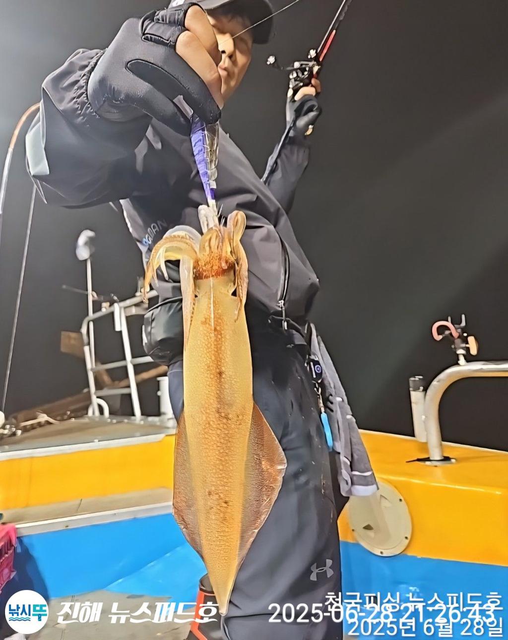 낚시뚜,한치,진해행암항,진해 뉴스피드호,낚시뚜9