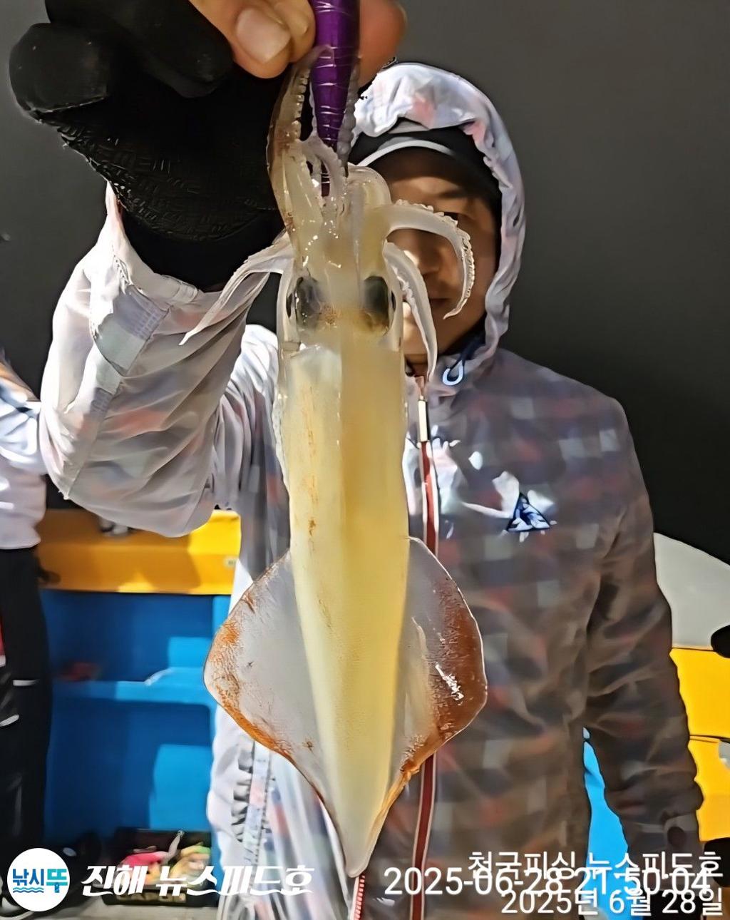 낚시뚜,한치,진해행암항,진해 뉴스피드호,낚시뚜8