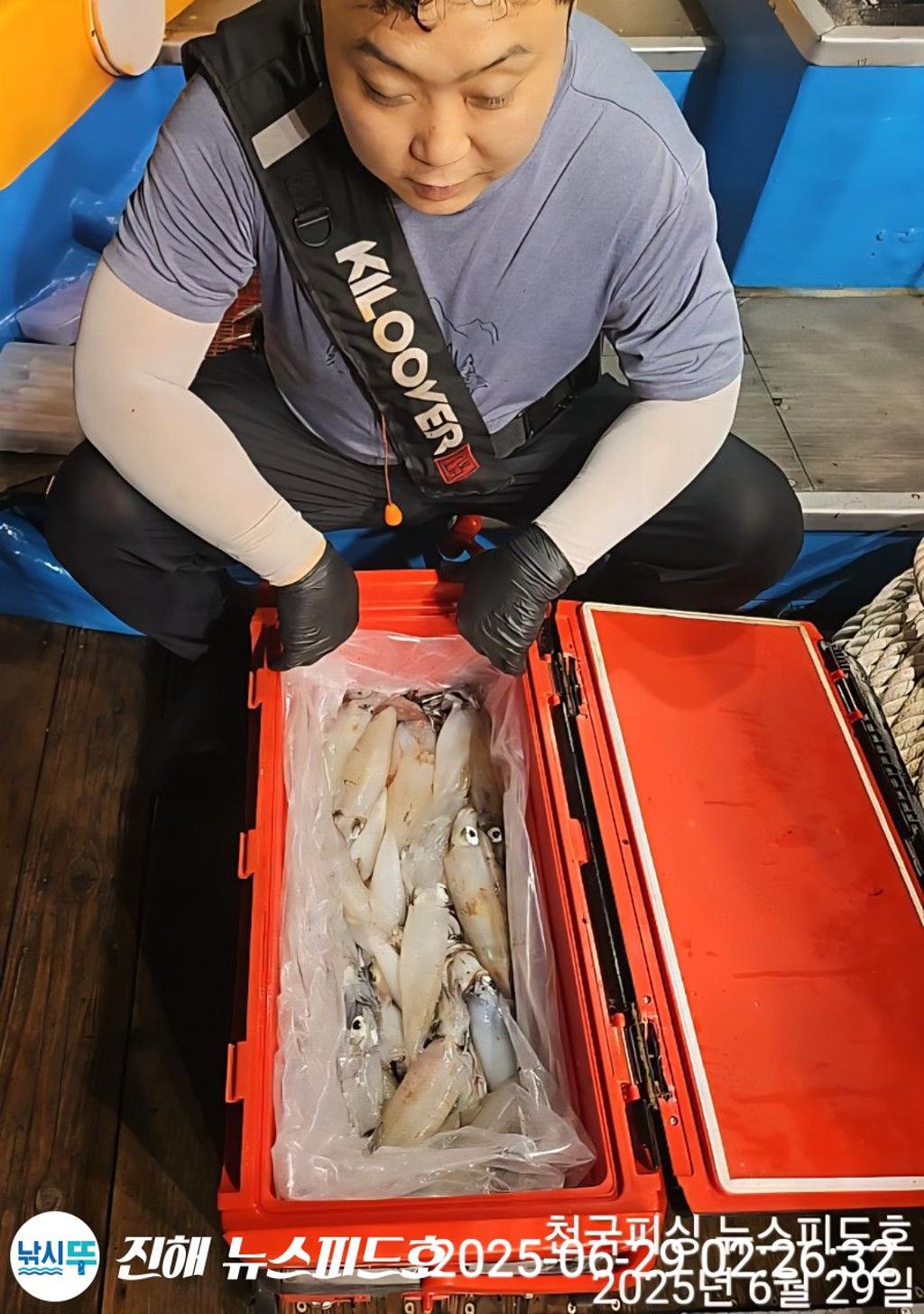 낚시뚜,한치,진해행암항,진해 뉴스피드호,낚시뚜1