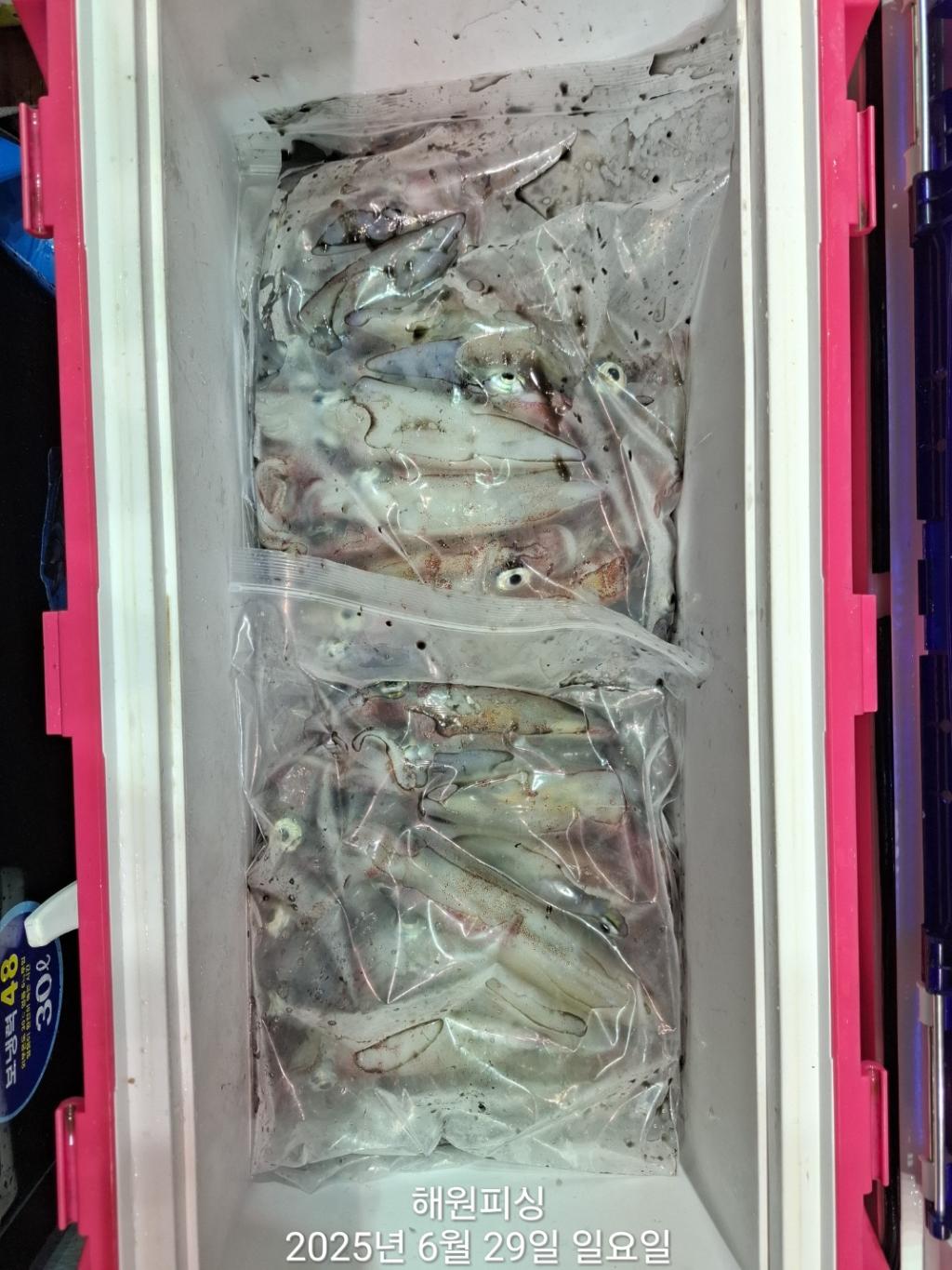 F27129380F.jpg