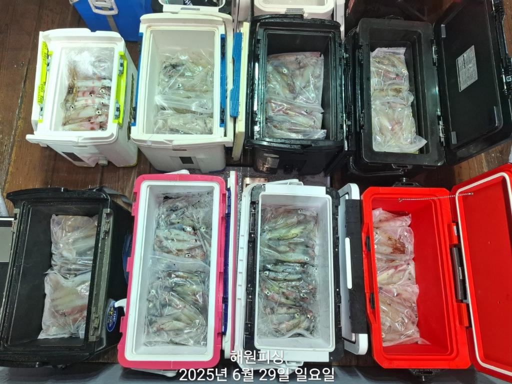 F2712946JH.jpg
