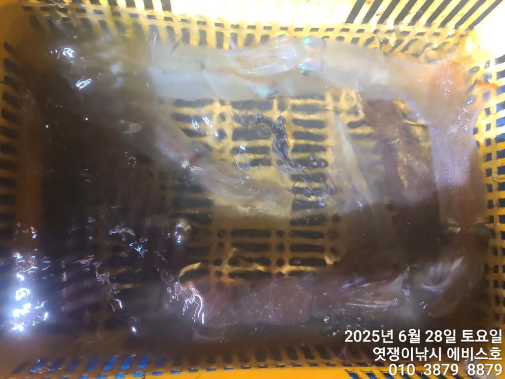 F2713021J1.jpg