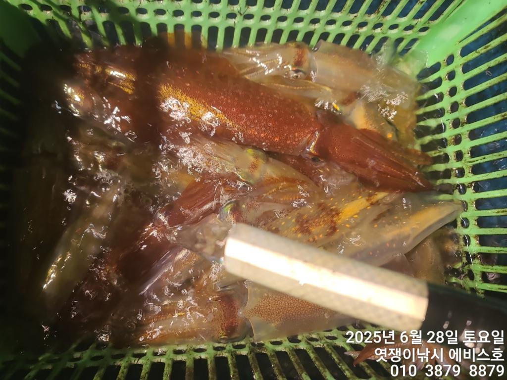 F27130254Y.jpg
