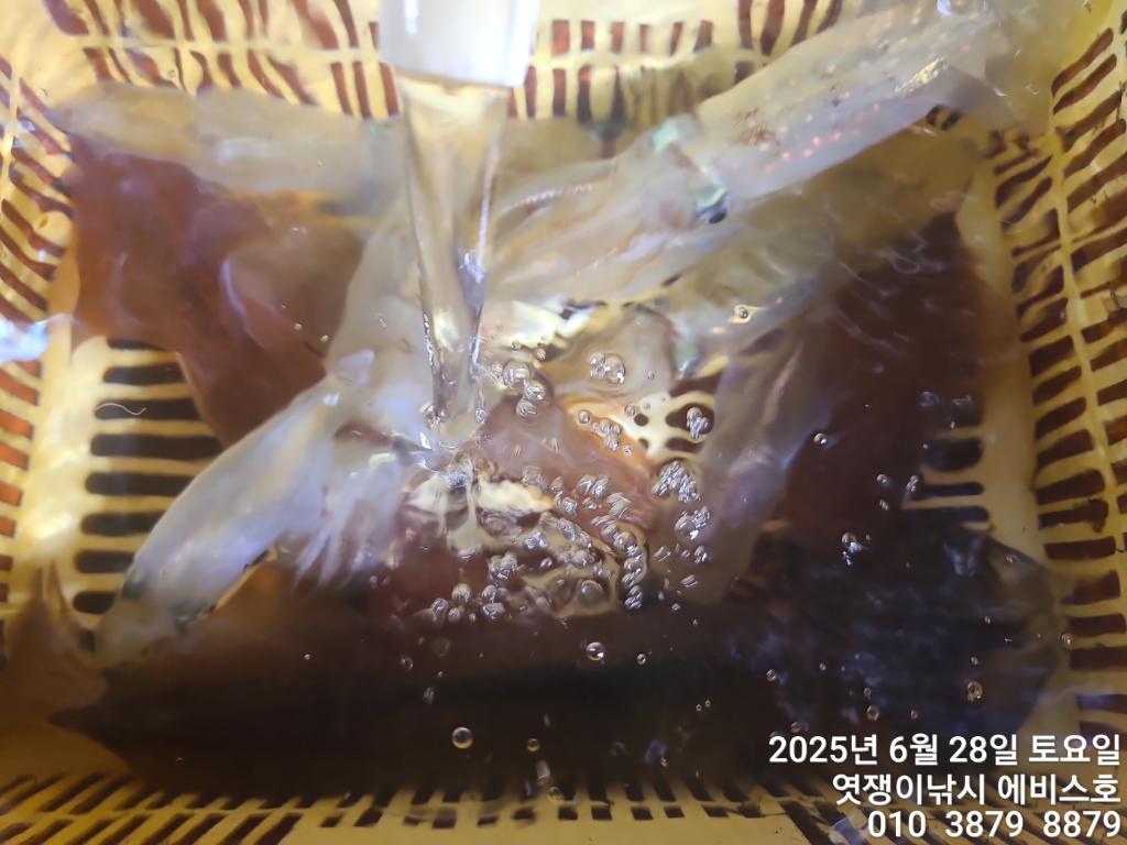 F2713027YS.jpg