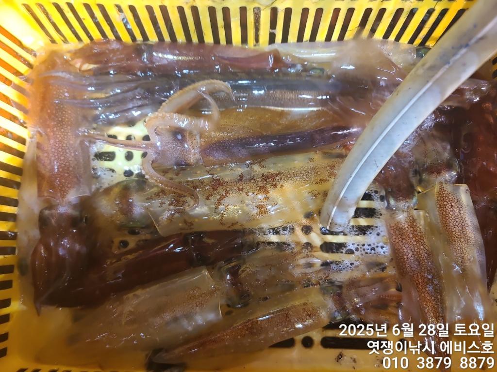 F2713028FJ.jpg