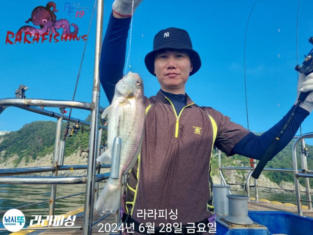 낚시뚜,백조기,속천항(진해),라라피싱,낚시뚜10
