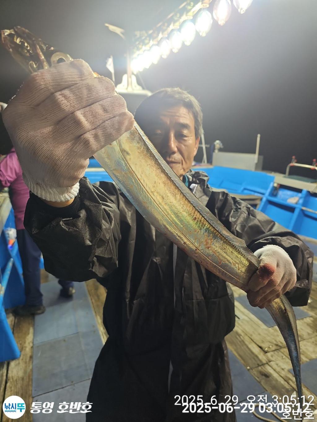 낚시뚜,갈치,한치,통영 신전항,통영호반호,낚시뚜9