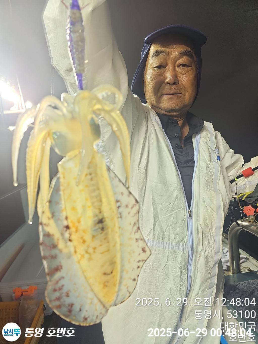 낚시뚜,갈치,한치,통영 신전항,통영호반호,낚시뚜7