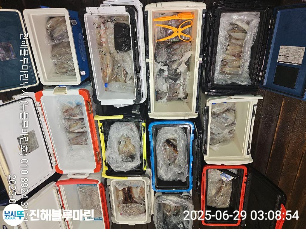 F2713662QI.jpg