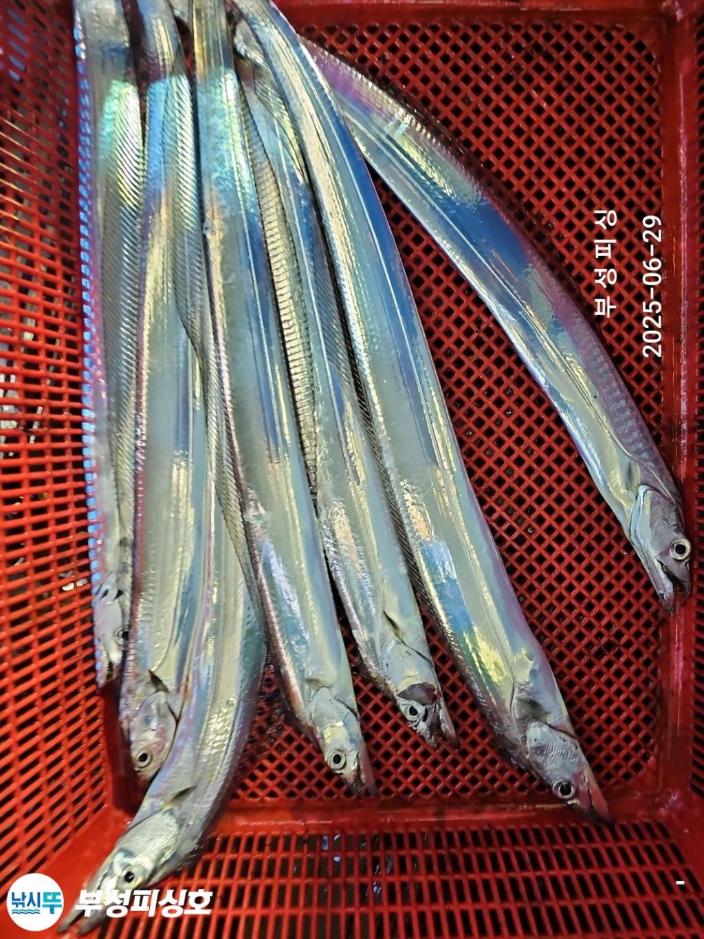 F2713871B7.jpg
