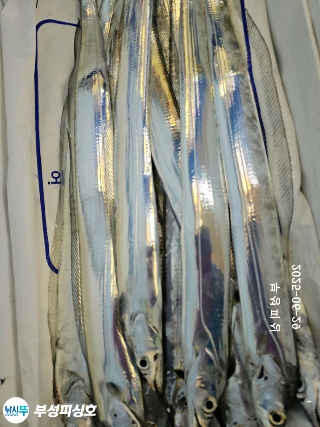 F271387379.jpg