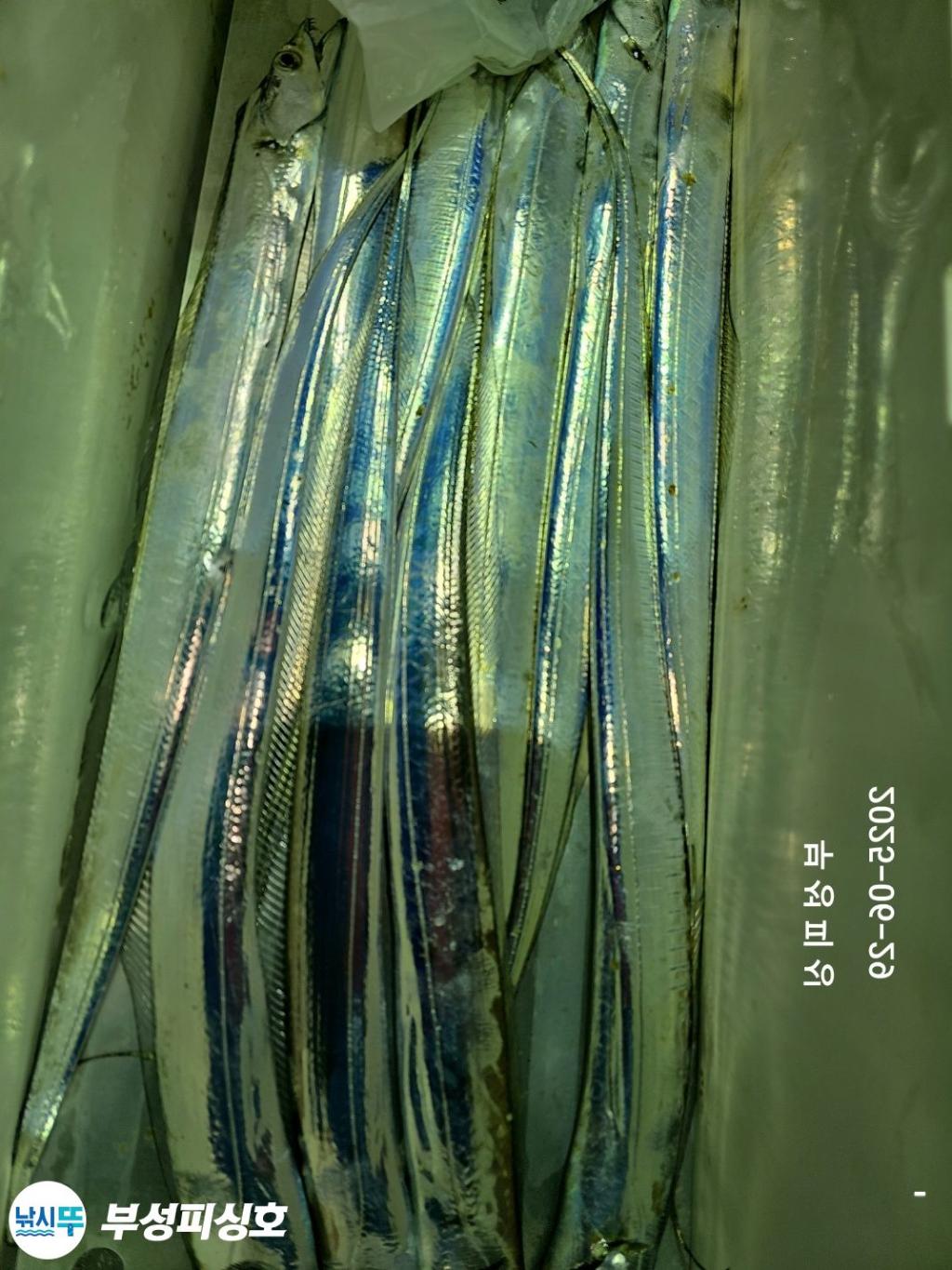 F27138751S.jpg