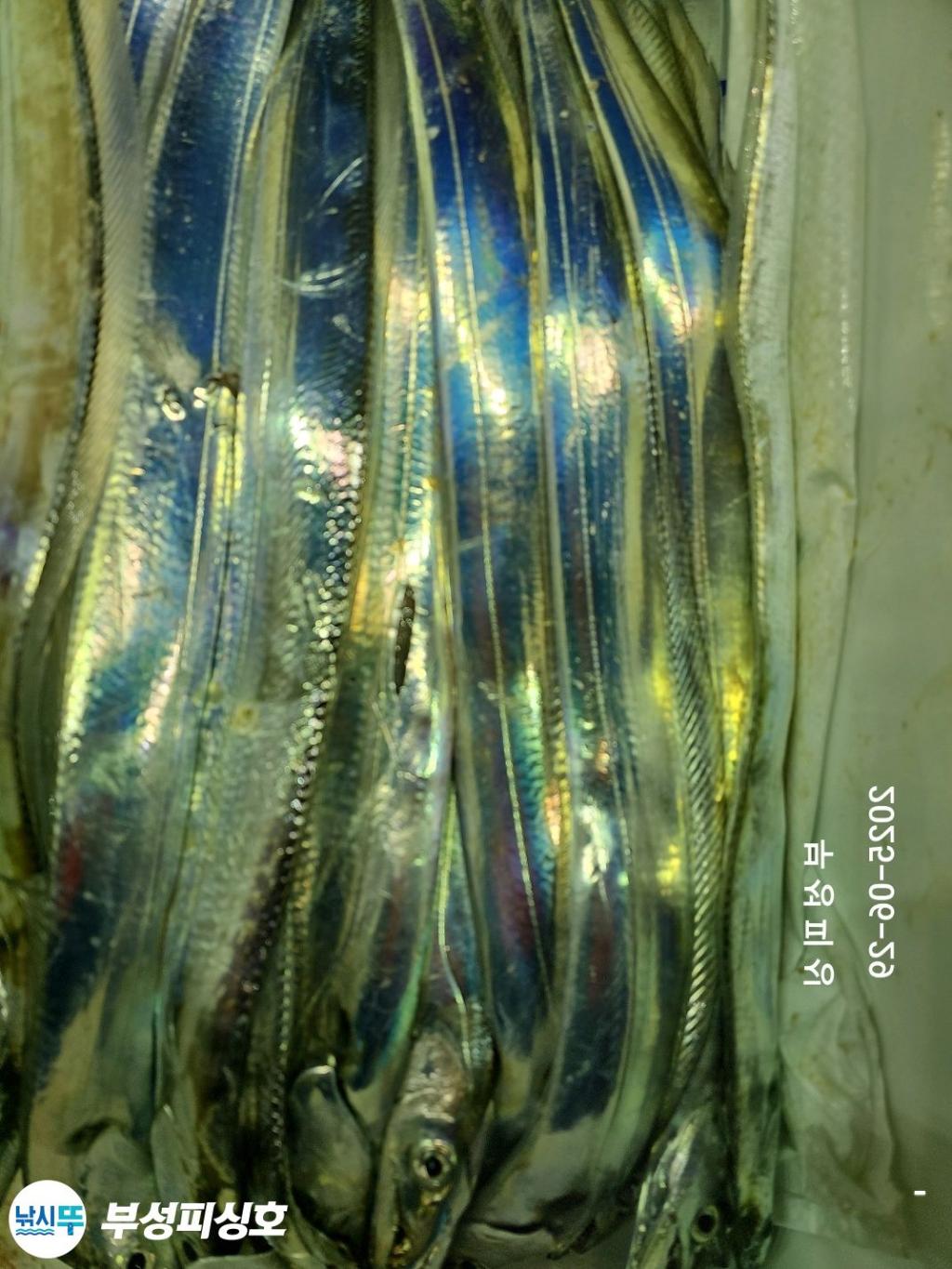 F2713876HM.jpg