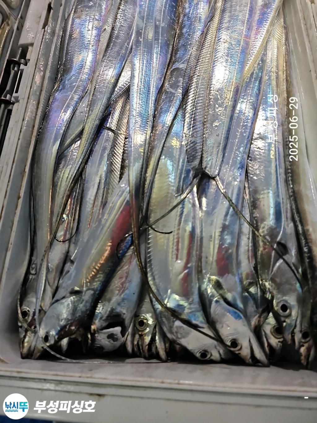 F2713877TS.jpg