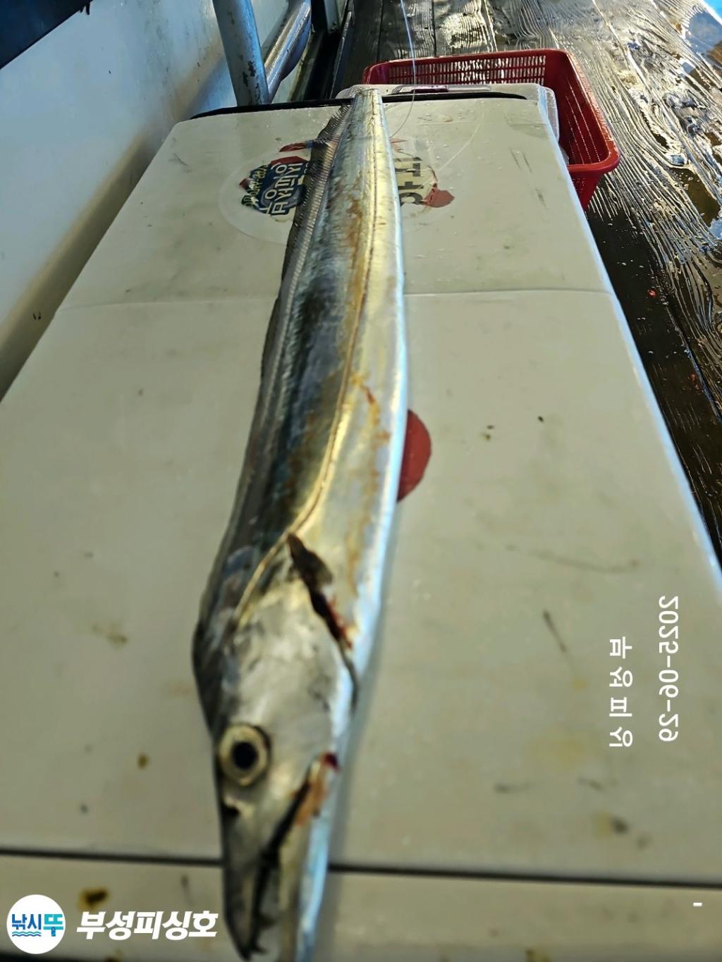 F2713879GH.jpg
