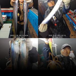 조황, [통영만선피싱] 갈치 씨알 많이 좋아졌어요!!더불아 한치, 고등어~~ 오늘도 정상출항 자리여유 예약가능~!! 7월 5일 한치 출조 자리여유!!