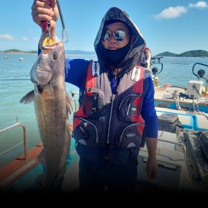 조황, 신바다호  민어조황 입니다