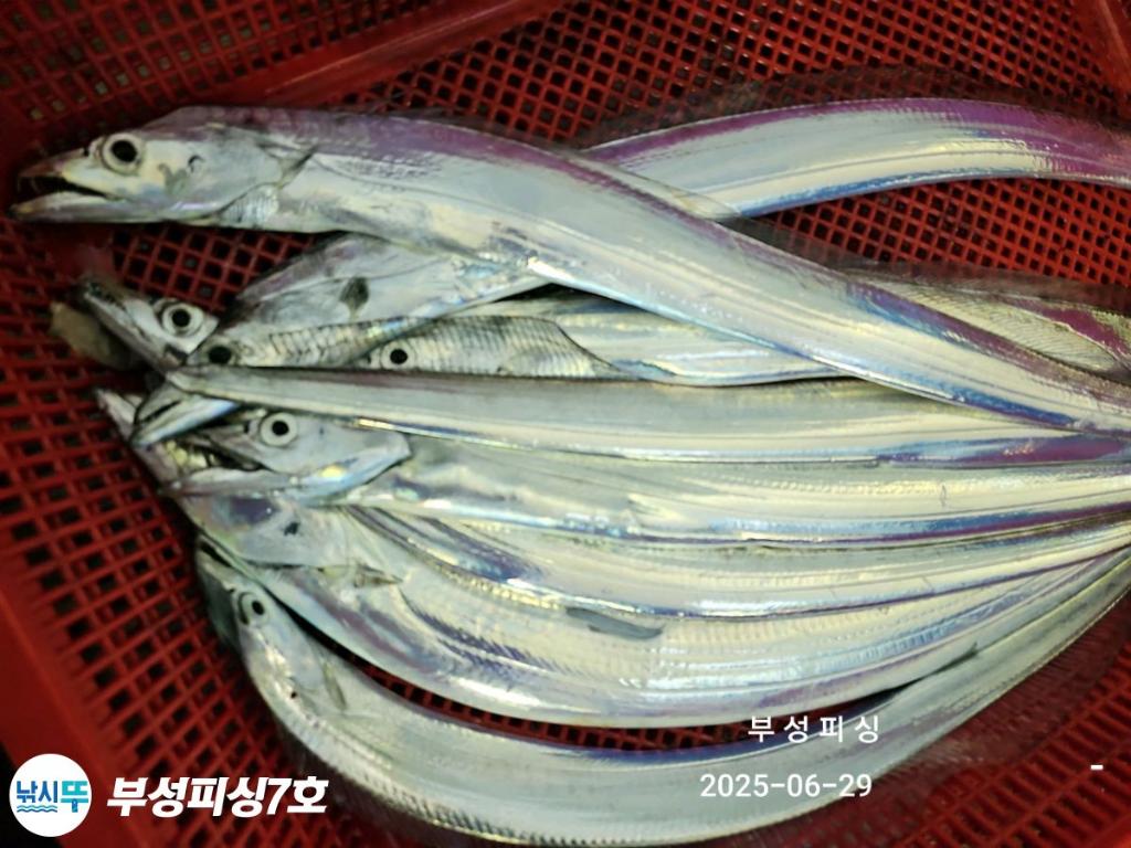 F2713988BU.jpg