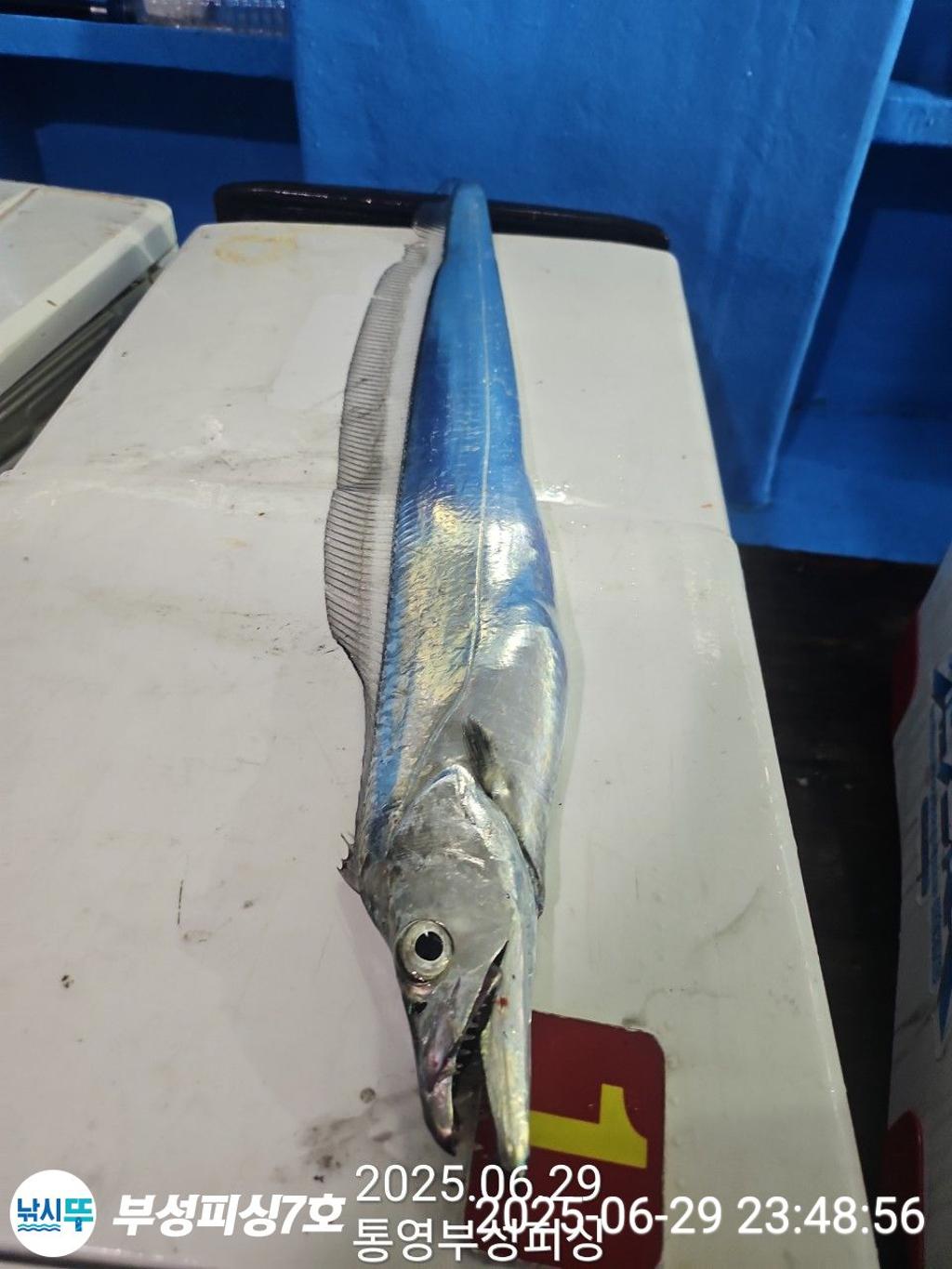 F2713991VU.jpg