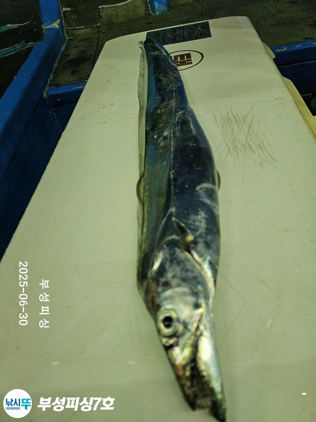 F2713992B0.jpg