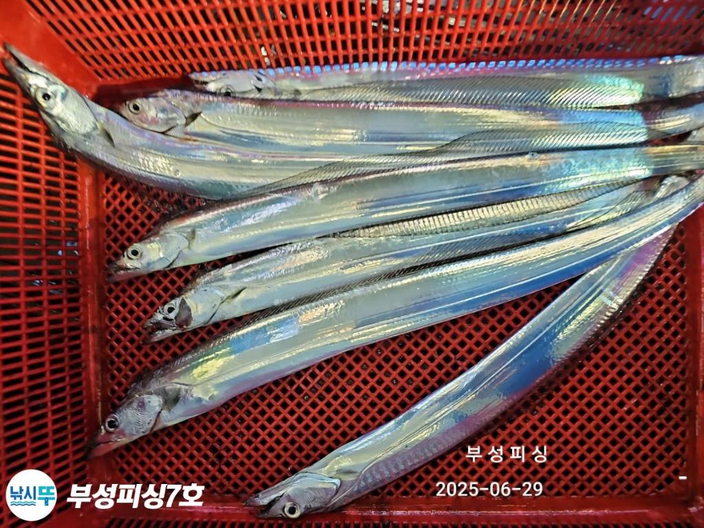 F2713994VC.jpg