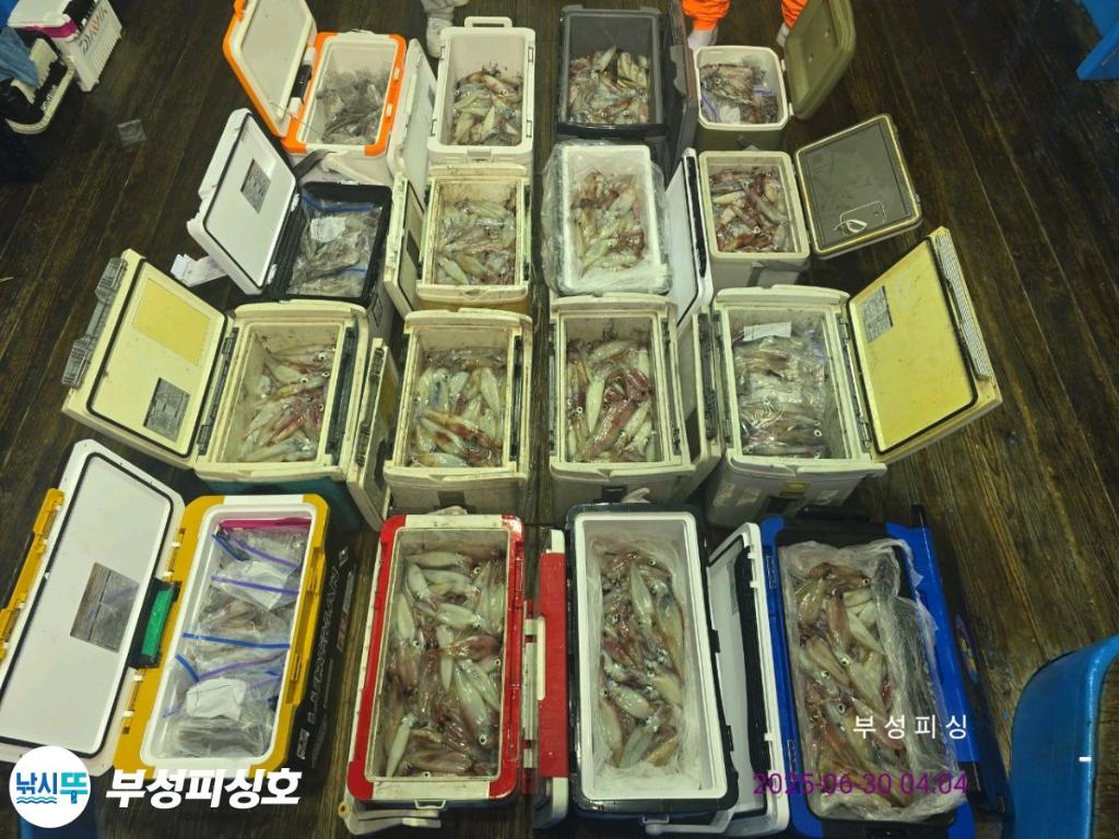 F2714045IP.jpg