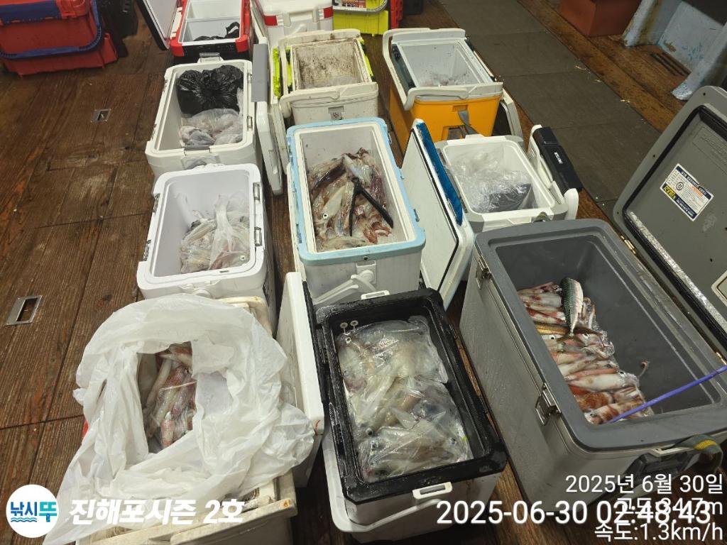 낚시뚜,오징어,한치,진해행암항,진해포시즌 2호,낚시뚜1