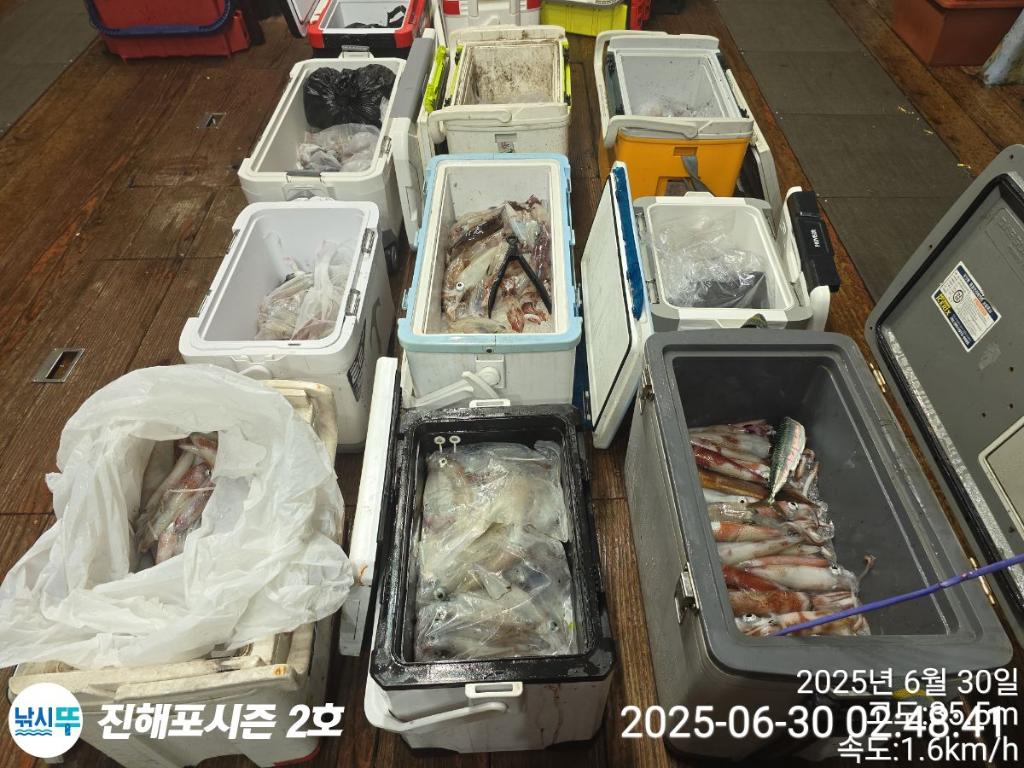 낚시뚜,오징어,한치,진해행암항,진해포시즌 2호,낚시뚜0