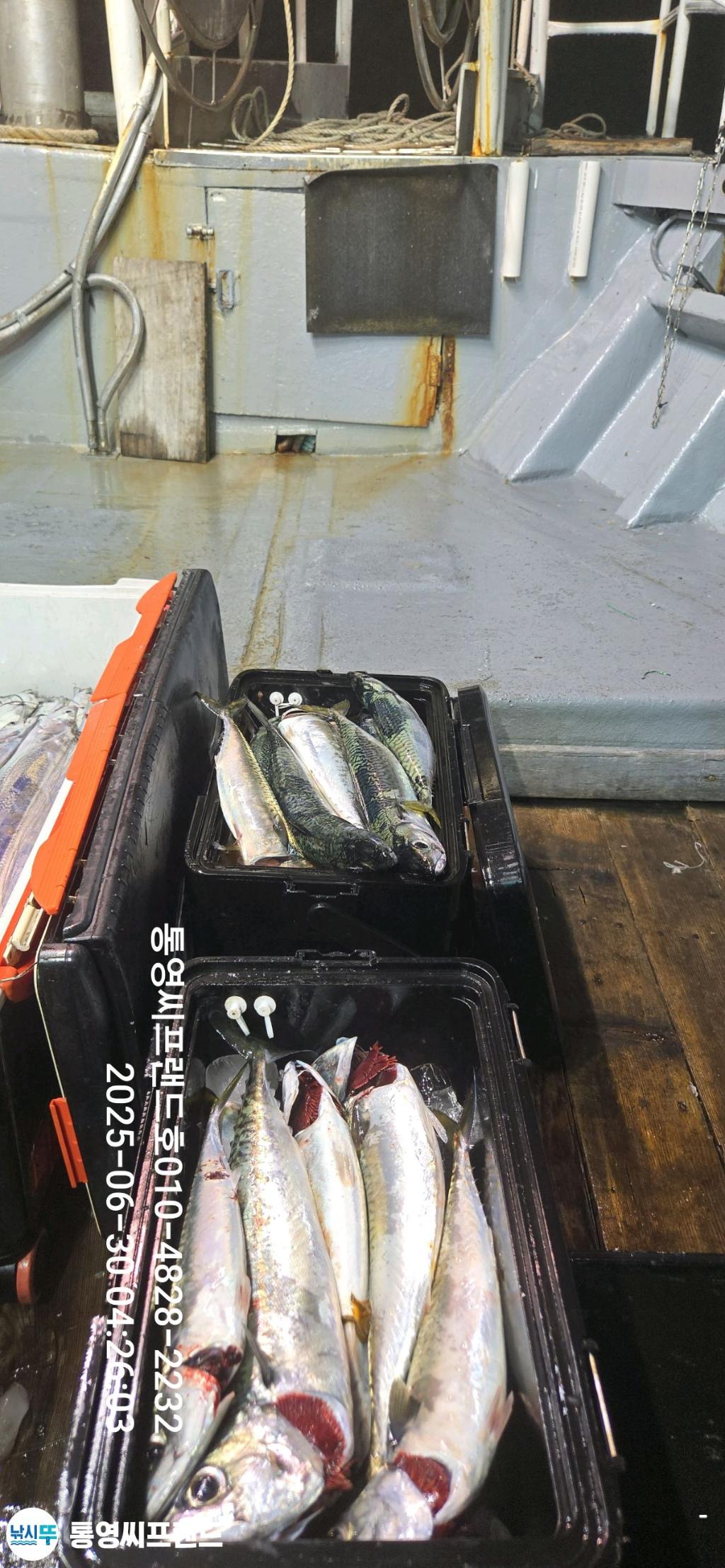 F271410116.jpg