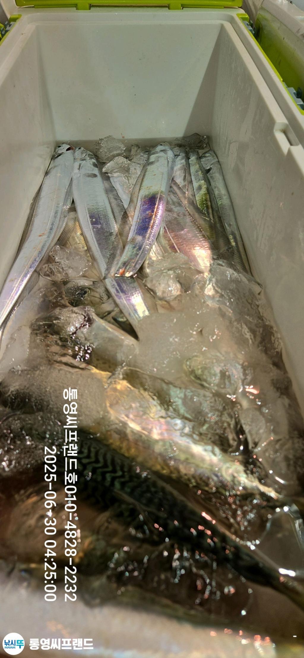F2714103G0.jpg